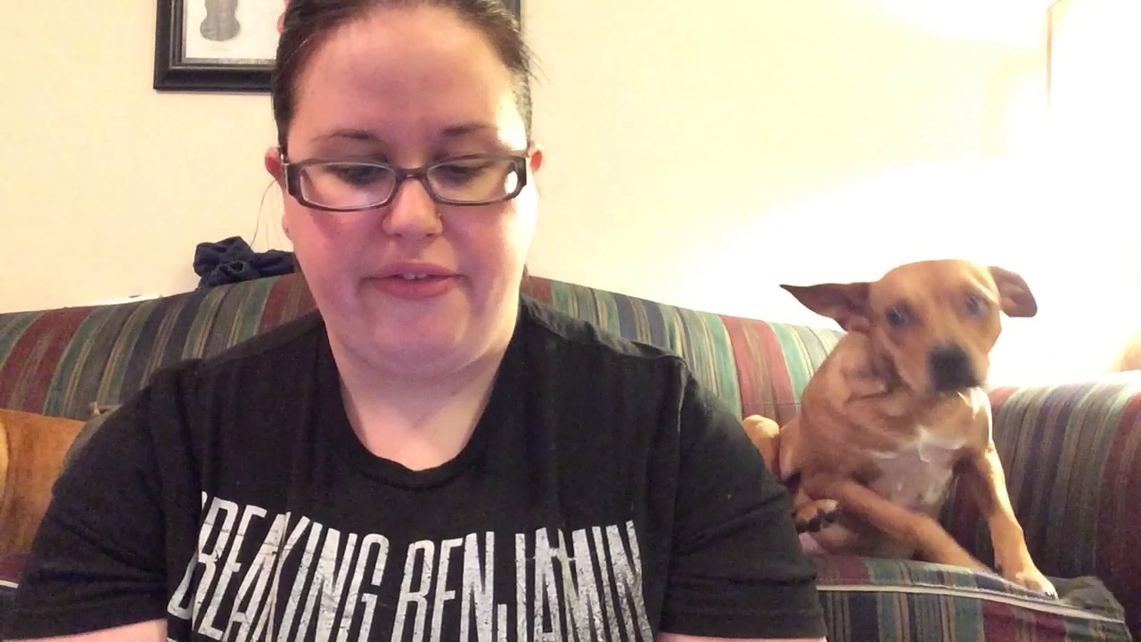 Charlie's Project Update!