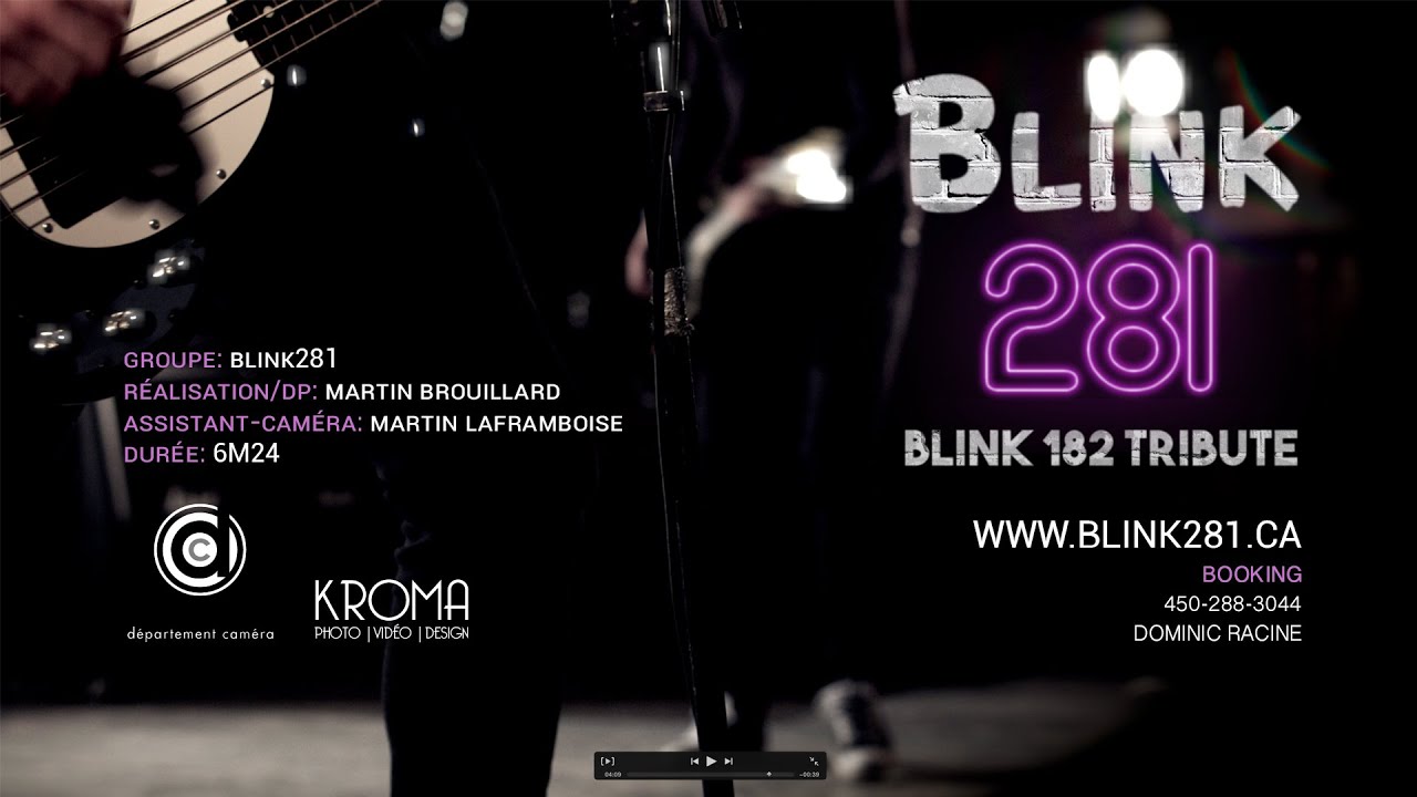 blink 281 tour