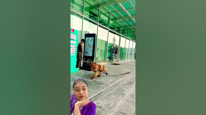 Lady plays hide and seek with her dog🥰🥰 #trending #shortvideo #shorts #short #dog #youtubeshorts