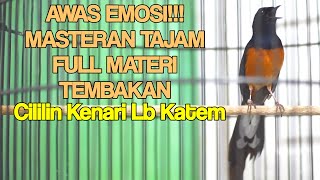 Download Lagu Murai Batu GACOR nembak isian KENARI LB KATEM CILILIN 100% JITU Dongkrak lawan EMOSI langsung NGAMUK MP3