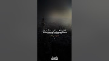 في بيوت أذن الله ترفع.. تلاوة من سورة النور