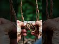 Forest Materials in Action A Trekker's Practical Guide