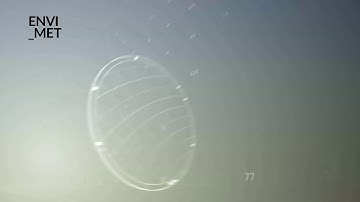 Expert Lesson: MONDE, 3/3