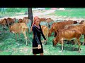 Amani Masota Song Nabhonirekanike Prod By Ngassa Studio Official Music Video Mp4 
