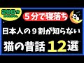 【寝落ち朗読】猫が出てくる昔話12選｜癒しと不思議に包まれる夜の語り【ぐっすり安眠】