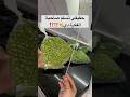 حقيقي تسلم صاحبة الفكرة دي افكار منزلية افكار حيل تيك توك تدابيرمنزليه تنظيف حقيقي تسلم صاحبة الفكرة دي افكار منزلية افكار حيل تيك توك تدابيرمنزليه تنظيف