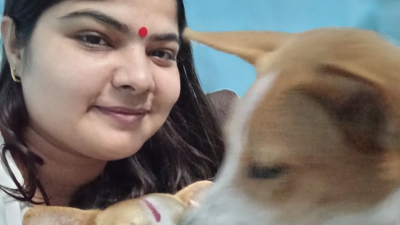 dog-eating-food-indian-dog-cuties-healthy-food-youtube