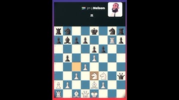 I beat all the Chess.com bots-nelson