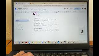8 Outlining in Google Docs - Chromebook Accessibility 2025