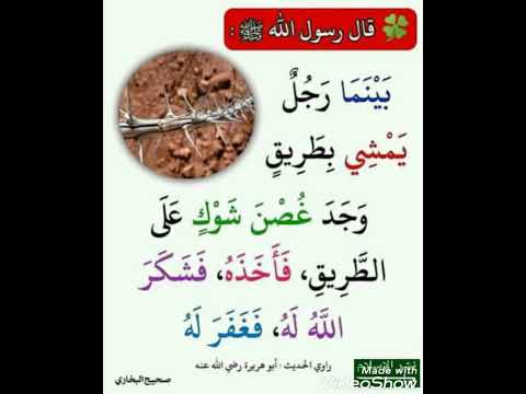 قال رسول الله ﷺ بينما رجل يمشي بطريق وجد غصن شوك على الطريق فاخذه فشكر الله له فغفر له