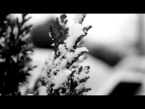 Whirr--Sway, fan music