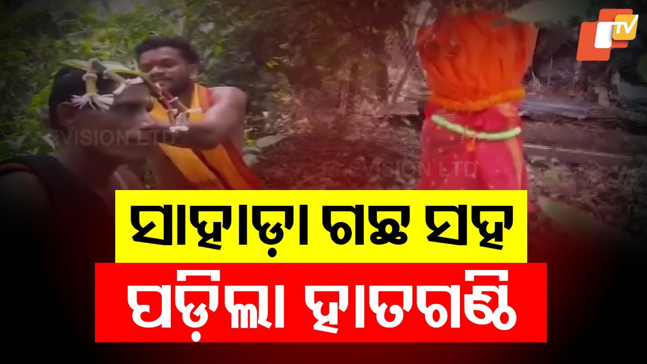 Odisha Man Marries Sahada Tree to Nullify Marital Dosha