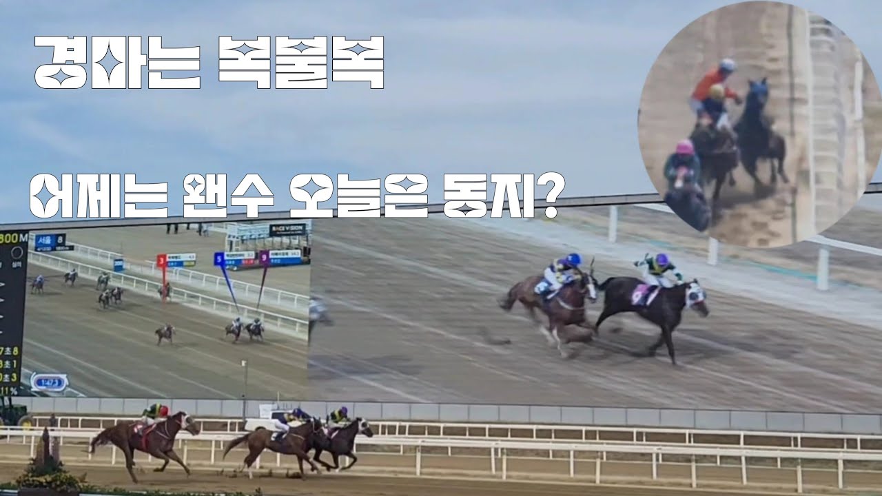 경마가 마음을 들었다 놓았다하네?(어제는 왠수에서 오늘은 동지로)
