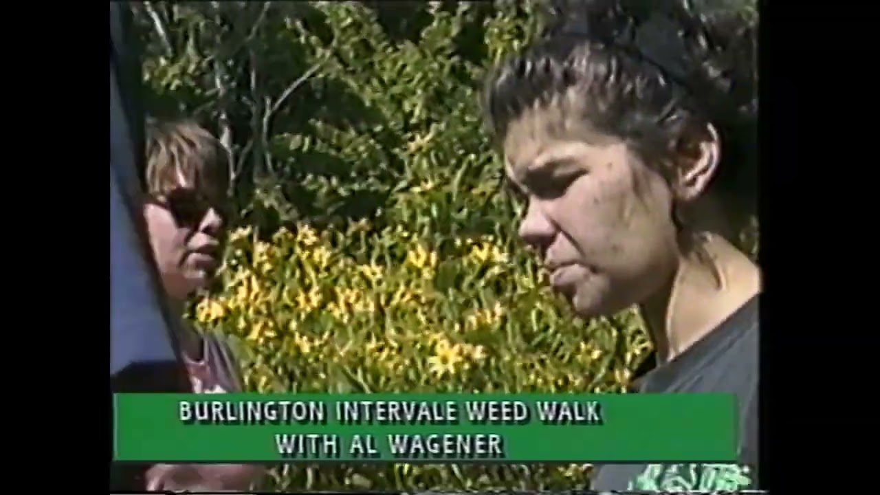 Thumbnail for BURL. INTERVALE WEED WALK, (EDIT)