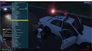[NEW! 22.07.2024] GTA 5 ONLINE HACK | 2024 | GTA V MOD MENU | KIDDIONS MOD MENU | FREE DOWNLOAD | U. screenshot 5