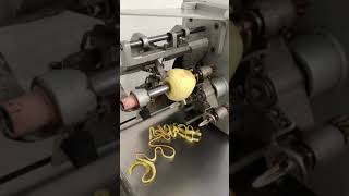 Apple Peeler Feuma Asetm Test Run