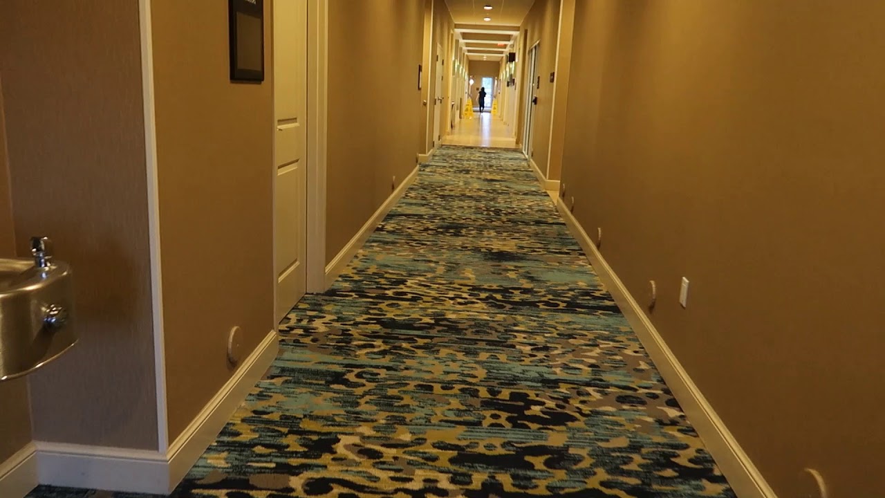 Regal Princess Thanksgiving Pre Cruise Vlog