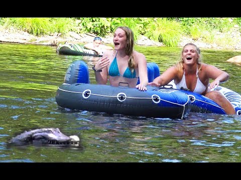 remote-control-alligator-prank-scares-people-on-the-river