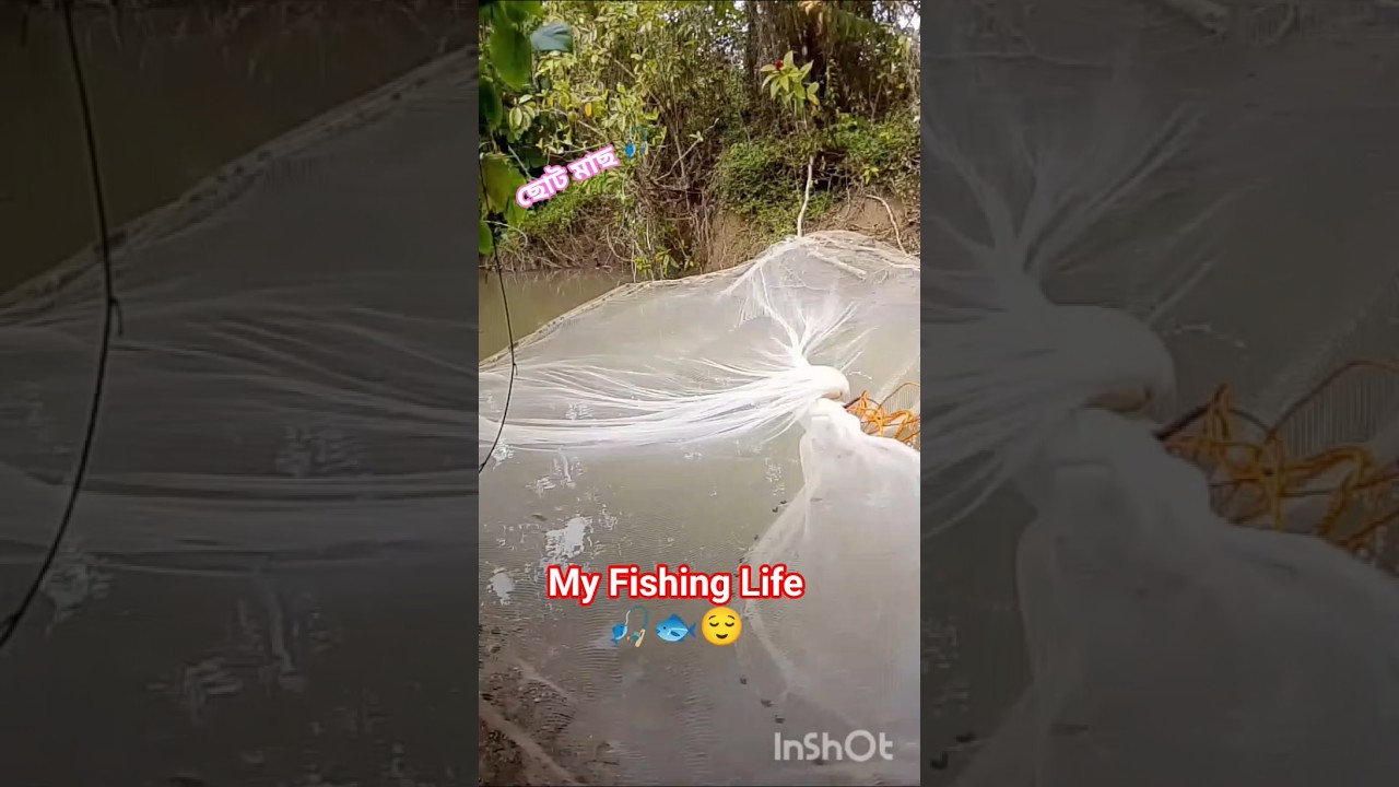 #fishing #life 😌🎣🐟💞#daily #video #fish #videos #dailyvlog #dailyshorts #fishinglife #shorts #viral