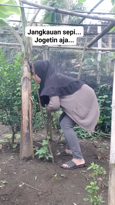 joget sruduk pohon pisang #viralvideo #lucu #trending #ngakak #shortvideo #comedy