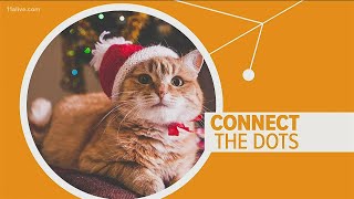 How best to keep your pets safe during the holidays