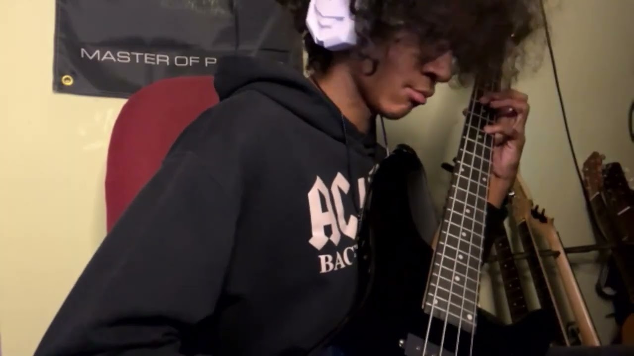 Bite The Pain (Bass cover) by Me