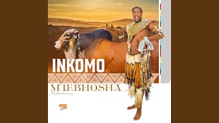 INKOMO (feat. Njencane)