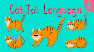 Cat Tail and Body Language | Furry Feline Facts