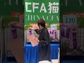 世界最高タイトル『ナショナル・ウィナー』を当キャッテリーのエメラルドが獲得‼︎ 日本初です。 #デボンレックス #デボンレックスブリーダー #devonrex #cfaショー #キャットショー