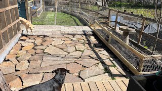 Walking the Dogs down the Bayou #bayou #dog by Off  Grid Homestead  278 views 2 months ago 19 minutes