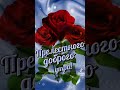 23 ноября 2022 г.(5)