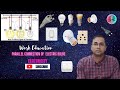 Parallel connection of electric bulbs i work education i saroj subudhi