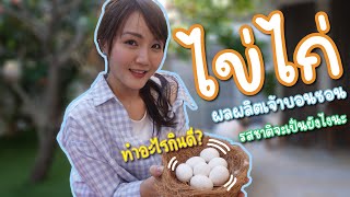 EP 31 ทดลองกินไข่ไก่มินิโคชิน จะมีรสชาติเหมือนไข่ที่เราซื้อมั้ยนะ | ไก่มินิโคชิน | Chabie Bird |