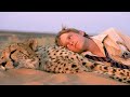 A boy becomes a close friendship with an orphaned fastest cheetah in the world