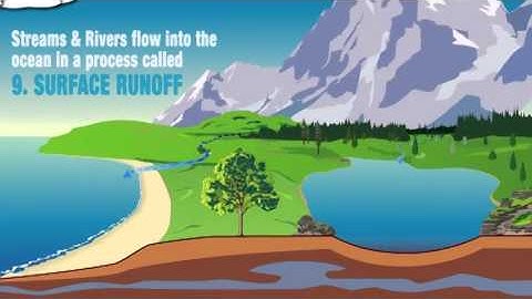 The Hydrologic Cycle   Animated Infographic