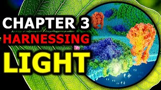 Photosynthesis Chapter 3 | Harnessing Light