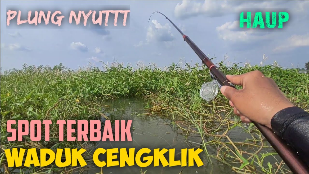 mancing di spot terbaik waduk cengklik‼️ikan masih kintalan pung nyutt..😆 #fishing #fishing #mancing