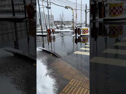 【鉄道】北陸鉄道　蚊爪駅付近の踏切
