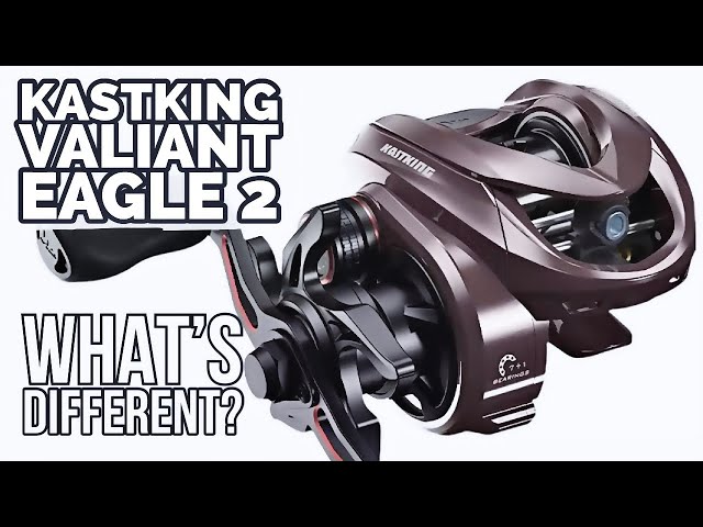 中華BFSリール KASTKING VALIANT EAGLE PRO 中華BFSリール KASTKING VALIANT EAGLE PRO