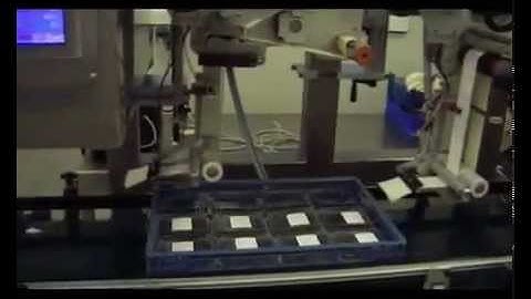 Multilane Label Applicator for Fruit in Plastic Tray