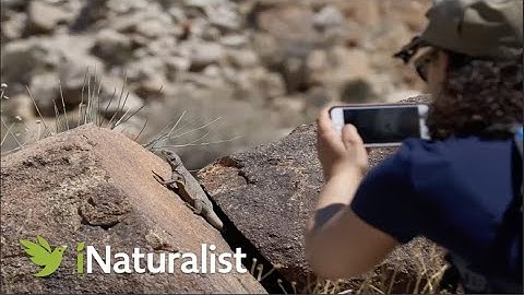 Introduction to iNaturalist by 