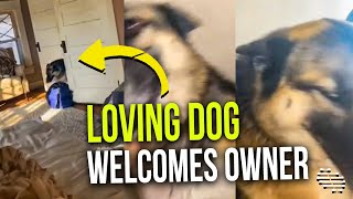 Dog Didn’t Know Owner Came Home, Rushed to Her While Crying Then Ran Back and Forth