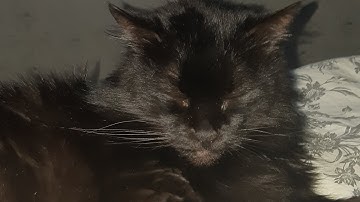 Mini Block craft 3D 5 part