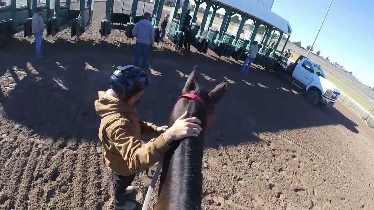 Princess, Thunder & Savvy  October 31st, 2025