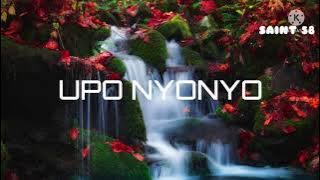 Saraphina - Upo Nyonyo (Lyrics)