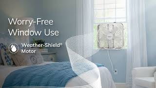 Lasko Weather-Shield® Performance Box Fan