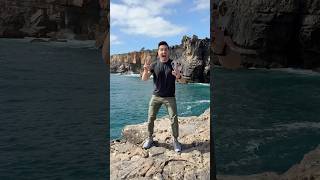 reunited with my dogs 💛