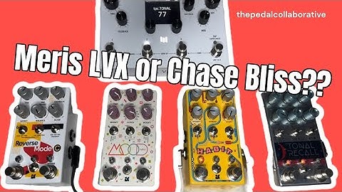 Can the LVX Handle These 4 Chase Bliss Delays??