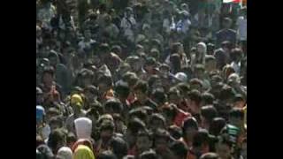 the law-goyang goyang.flv