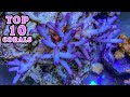 My Top 10 Favorite Corals